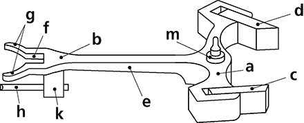 アンクルの画像