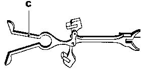 アンクルの画像