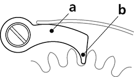 くちばしの画像