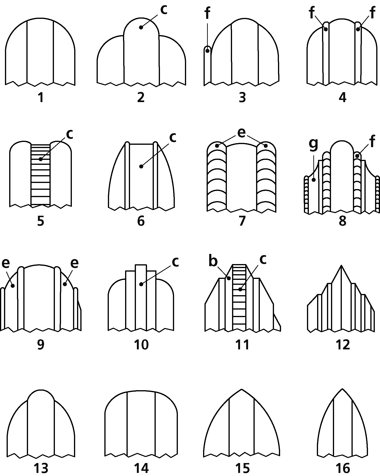 ウォッチケースの画像