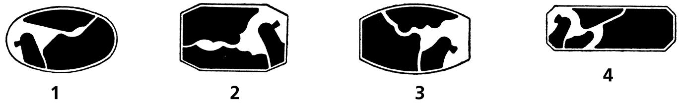 キャリバーの画像