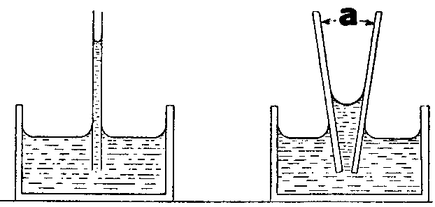毛細管現象の画像