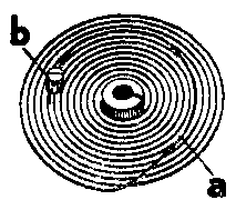 曲線、カーブの画像