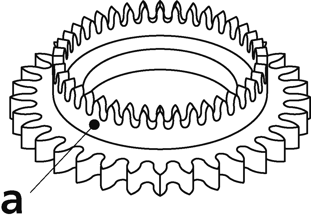 りゅうず、クラウンの画像