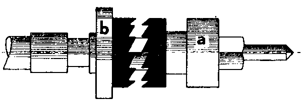 歯切り、トゥージングの画像