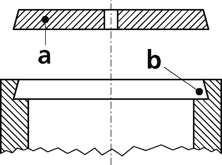 スナップの画像