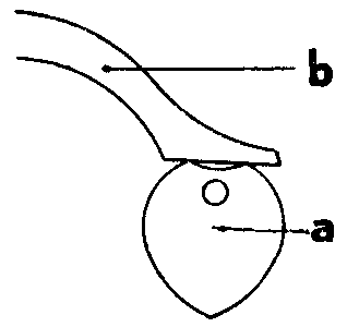 エキセントリック、偏心の画像
