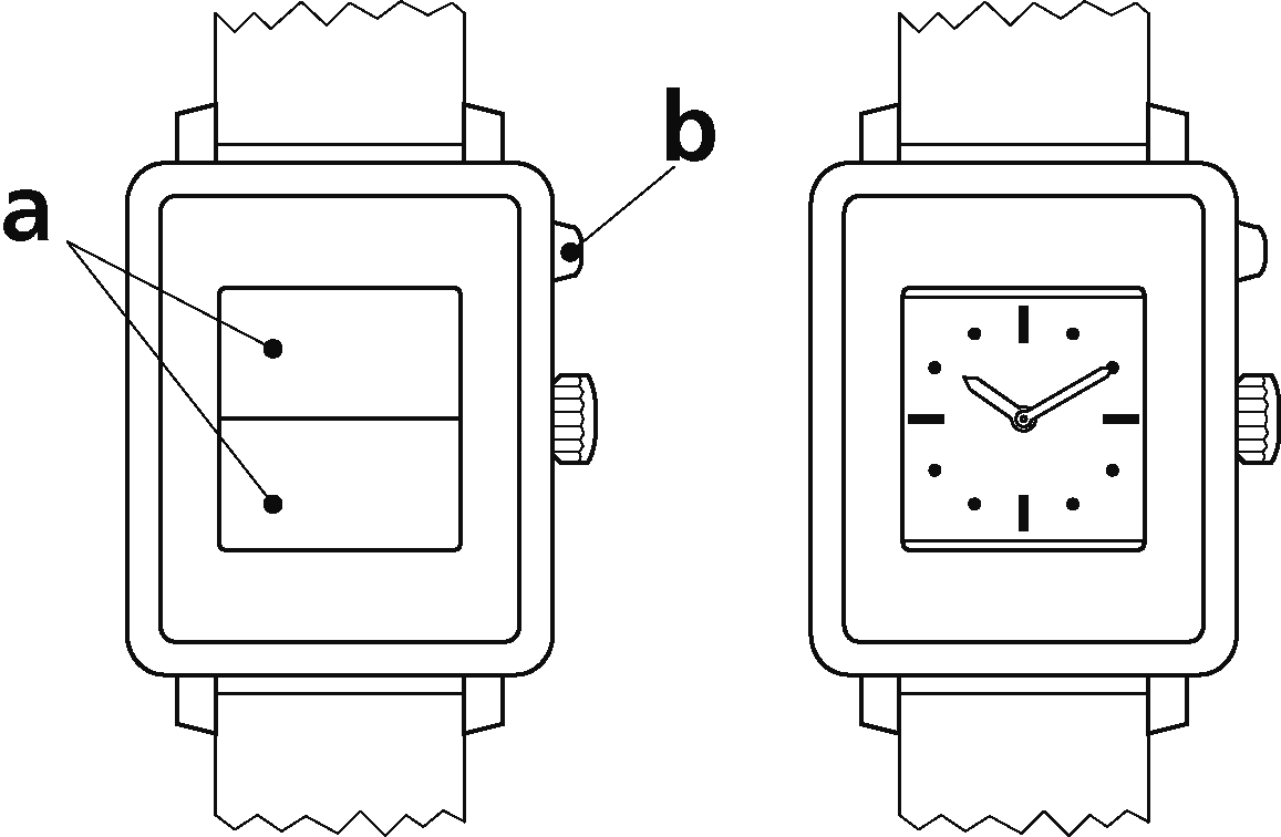 フォリオの画像
