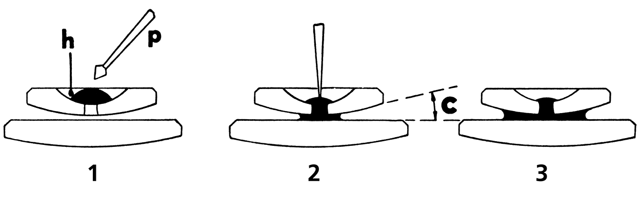 葉、シートの画像