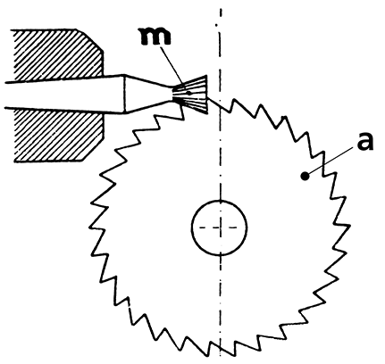 モリーユの画像