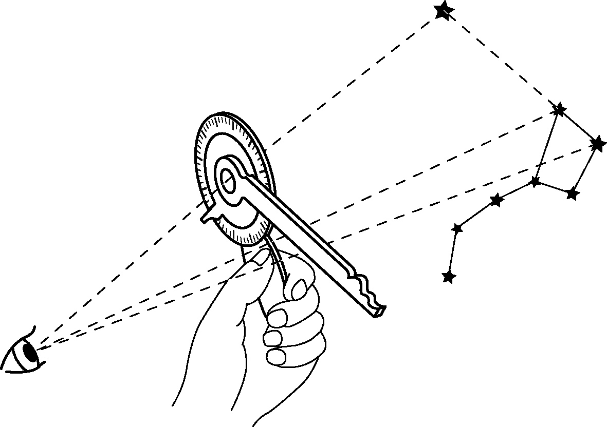 ノクターナルの画像