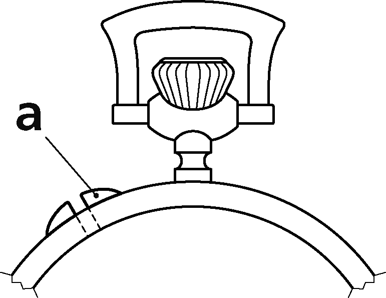 オリーブの画像