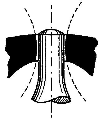 オリーブ状のの画像