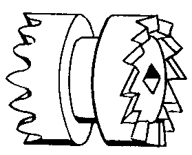 ピニオンの画像