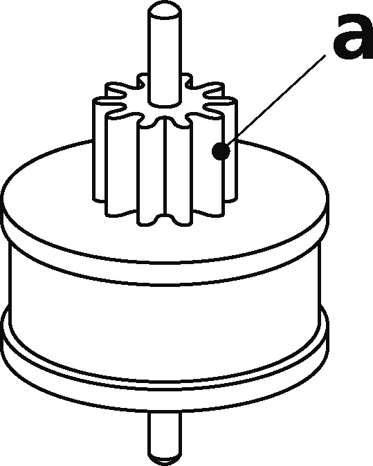 ピニオンの画像