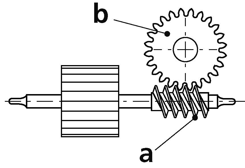 ピニオンの画像
