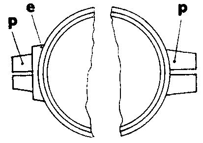 プロットの画像