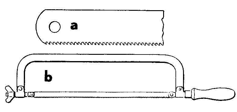 のこぎりの画像