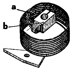 ひげぜんまいの画像
