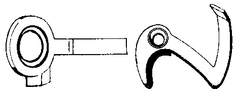 スペクトルの画像